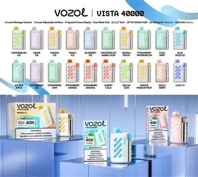 VOZOL VISTA 40000 TSI
